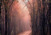 跑“丽马” 游丽水 ——2025丽水马拉松参赛观赛攻略.