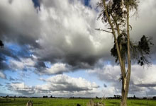 西班牙球员协会声明：两场比赛间隔最短应为72小时，不容妥协.