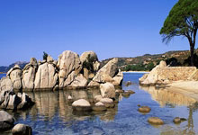 韩国游泳头号王牌终极一战拿下世锦赛门票 冲击前辈朴泰桓成就 对标孙杨还差得远.